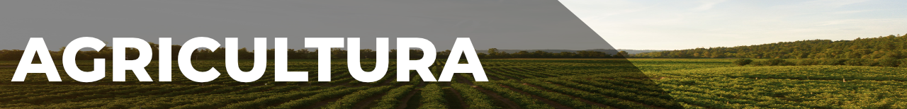 Agricultura